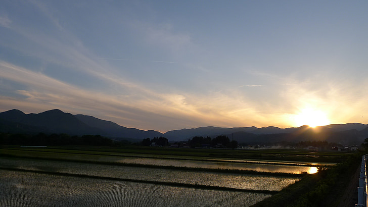 paisatge, camps d'arròs de Yamada
