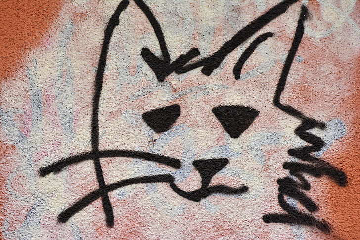 Graffiti, kissa, hauswand, katutaide, sumutin, maalattu seinä, Cat kasvot