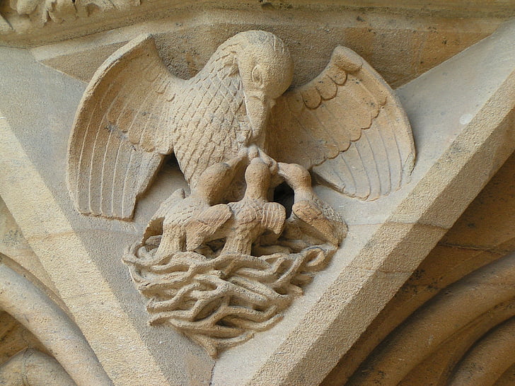 Metz, Cathedral, Pelican