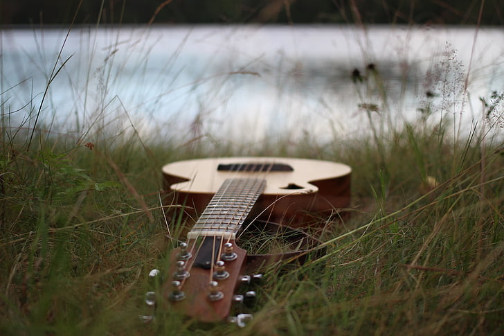 китара, Tacoma, WP струни, трева, няма хора, музика, ден