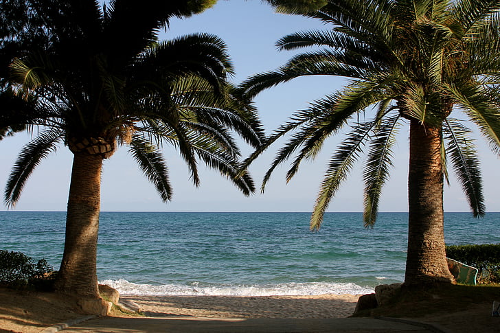 jūra, Palm, pludmale, brīvdiena, vasaras, krasts, skaistas pludmales