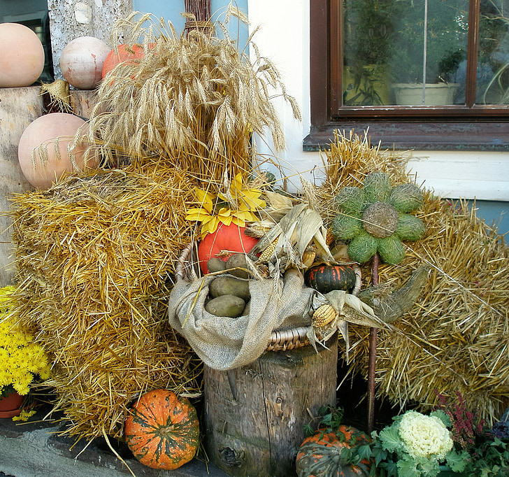 秋天, 颜色, 10 月, 多彩, 稻草