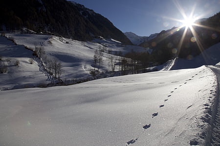 back light, trace, snow, footprints