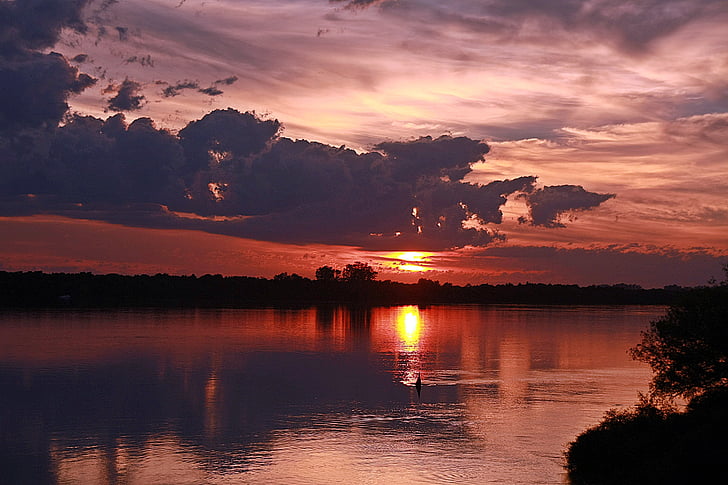trees, water, reflection, bird, pond, sunset, sky