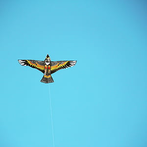 Kite, Sky, tomt utrymme, sprida vingar, ett djur, flygande, djur teman
