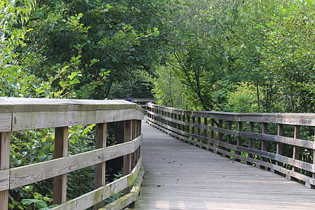 path, woods, trails, bridge, wooden, park, forest