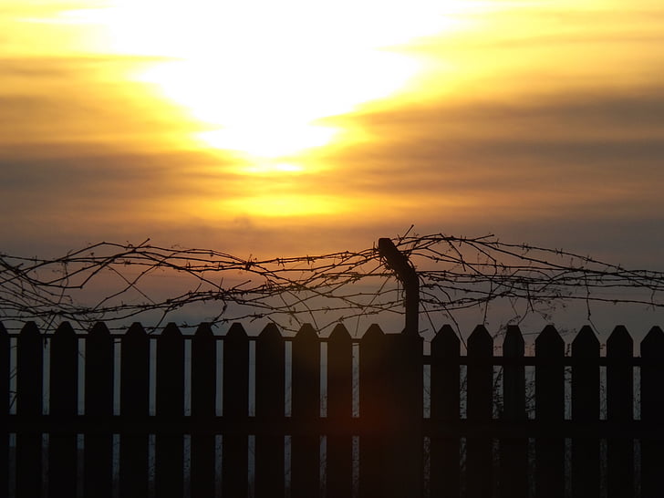 fence, sun, sky, red, cloud, barbed wire, wire barbed