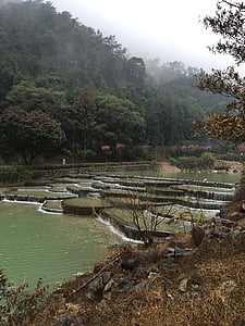 Fuzhou, miško parkas, smarkus lietus
