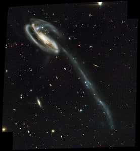 galàxia, Capgròs, va interrompre, barrat, espiral, brillant, blau