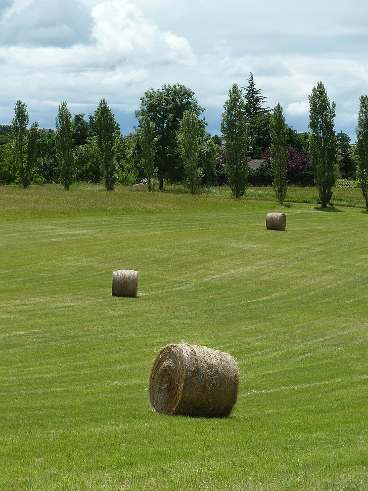 ball, straw, hay, landscape, hay bales, grass, work in the fields