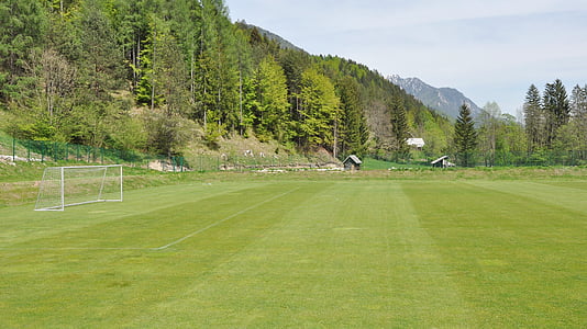 football, terrain de football, vert, herbe