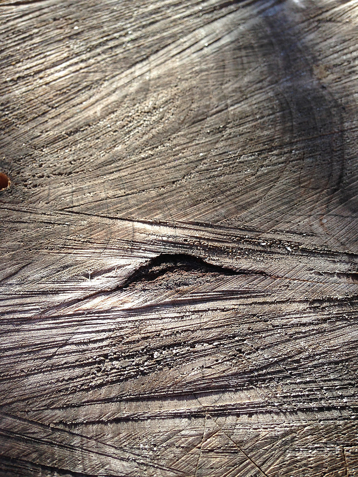 fusta, fusta vella, tronc, textura, banda de fusta, Tall de fusta