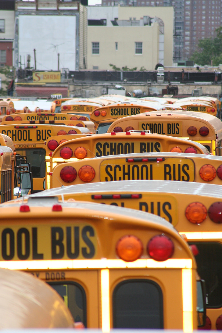 autobús escolar, Amèrica, vehicles, l'escola, transport, EUA, ciutat