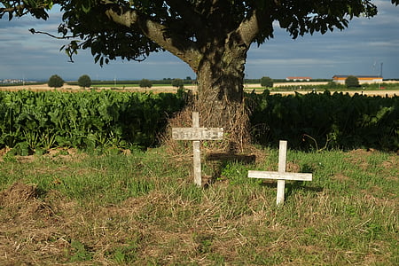 mourning, death, cross, cemetery, commemorate, silent, graves