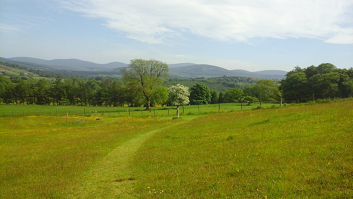 view, meadow, landscape, green, hills