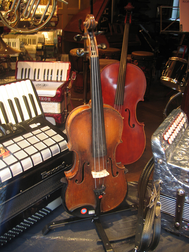 vijole, Akordeons, pārdošana, mūzikas instrumenti, skaņu, mūzika, mūzikas veikals