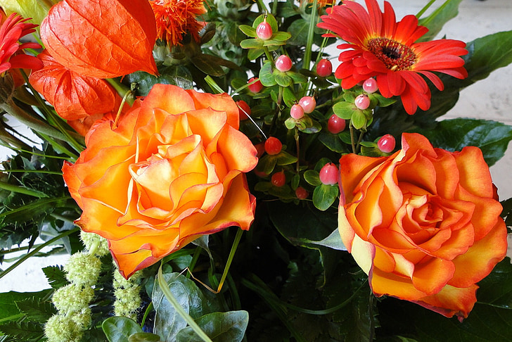 levantou-se, flores, Strauss, flor, laranja