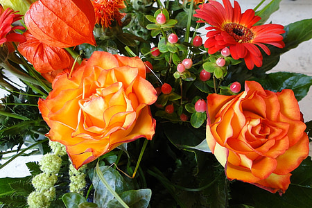 ruže, kvety, Strauss, kvet, Orange