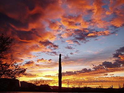 ORGAN pipe kaktus, Západ slunce, silueta, krajina, soumrak, mraky, barevné