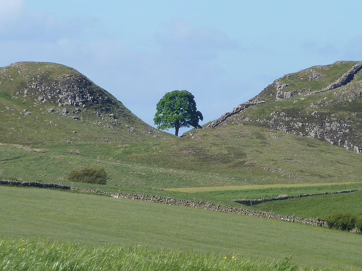 Sycamore gap, Northumberland, Hadrianus mur, North east turism