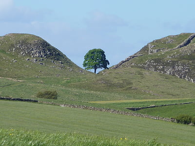 Sycamore gap, Northumberland, Hadrians mur, Nord Øst turisme