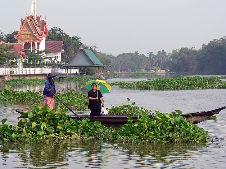 thailand, river, boat, transport, tray, water courses