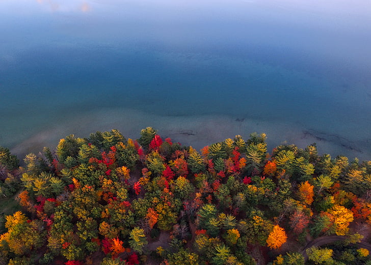 Aerial, photo, corps, eau, près de :, Forest, automne