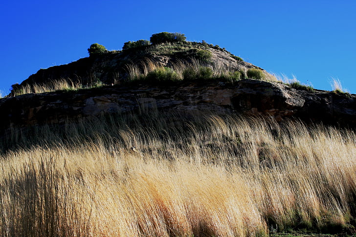 brdo, trava, visok, svijetlo žuto-bijela, stijena, rockface, Kameni zid