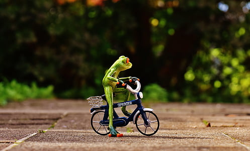 カエル, 自転車, 面白い, かわいい, 甘い, 図, ドライブ