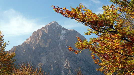 autumn, tree, leaves, mountain, landscape, scenic, foliage