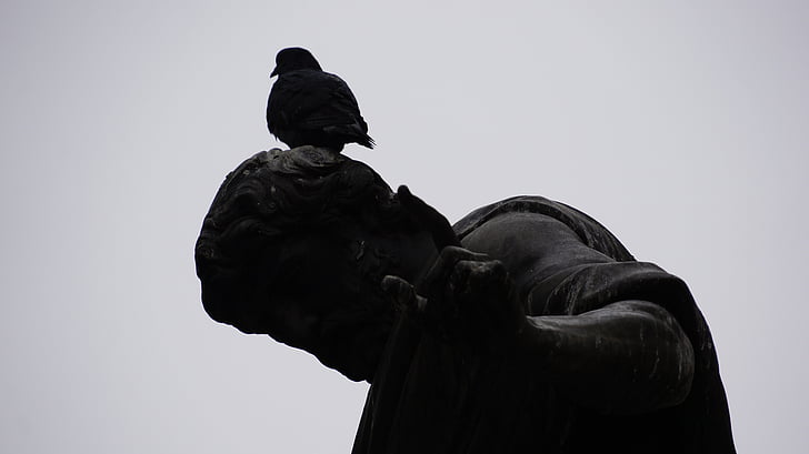 Wien, fuglen, statuen, kunst, fugler, skulptur