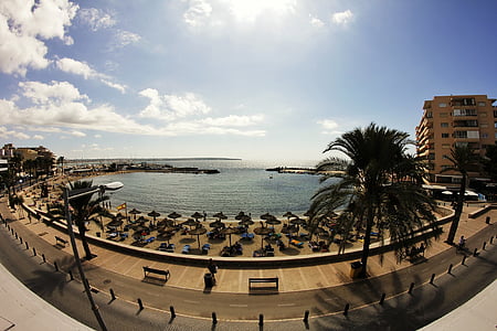 Mallorca, Plaża, Słońce, sielanka, palmy