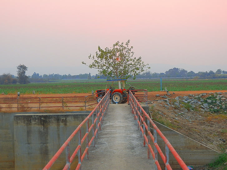 tractor, bridge, thailand, sunset, transport, agriculture, rice paddy