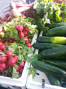 reďkev, zeleninový trh, uhorky