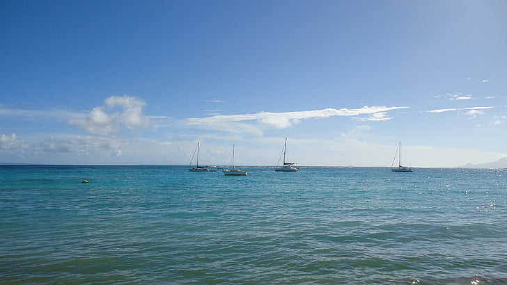 Guadalupe, Mar, St anne, Índies occidentals, vacances, Carib, blau