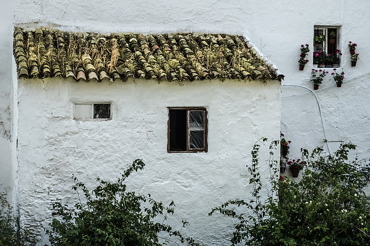huis, Andalusië, gevel, dak, witte muur, venster, mensen