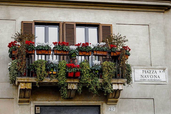 doniczki, kwiaty, Włochy, Piazza navona, Rzym, systemu Windows, na zewnątrz budynku
