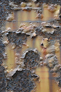 texture, rust, brown, orange, peeling paint, large group of animals, animals in the wild
