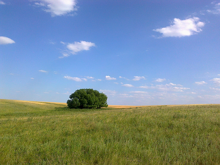 sky, nature, clouds