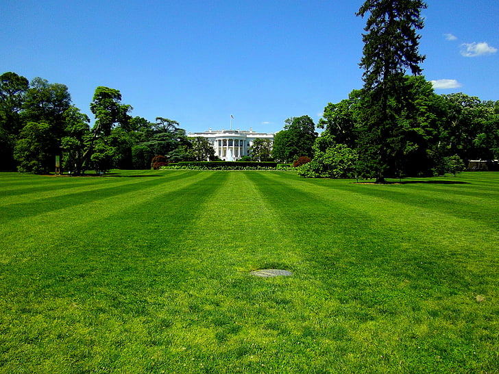 Baltais nams, prezidents, māja, Washington, DC, Amerika, Amerikas Savienotās Valstis
