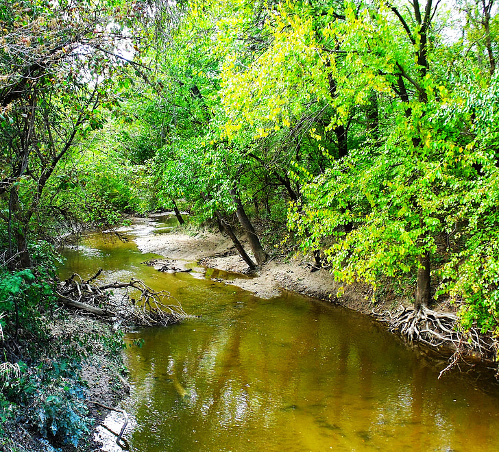 Stream, rivier, bomen, groen, zomer, water, natuur