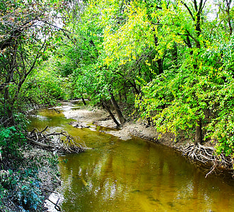 Stream, elven, trær, grønn, Sommer, vann, natur