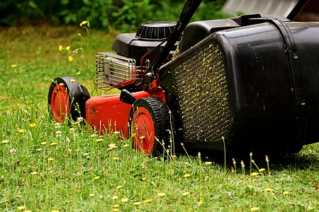 mow, lawn mowing, green, meadow, gardening, grass surface, cut