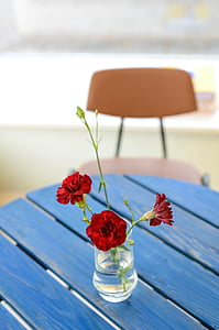 fiore, chiodi di garofano, vaso, sedia, tavolo, legno - materiale