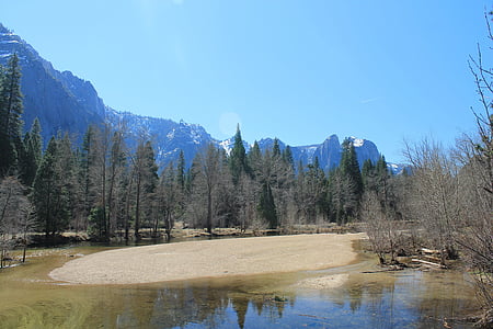 el capitán, Yosemite, árbol, Parque, California, nacional, paisaje