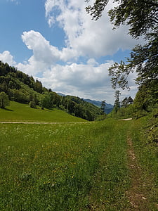 Švajčiarsko, Bazilej-vidiek, eptingen, Príroda, Pešia turistika, Forest, lúka