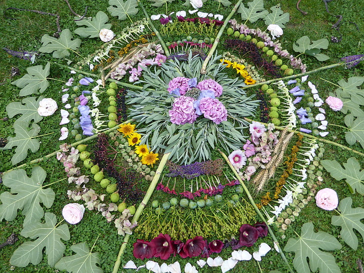 ornament, Mandala, distrikt, natur, blomster, sommer, om