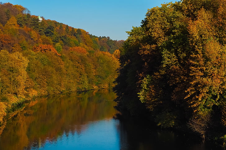 rudenį, Gamta, medžiai, kraštovaizdžio, miško, Farbenspiel, lapai