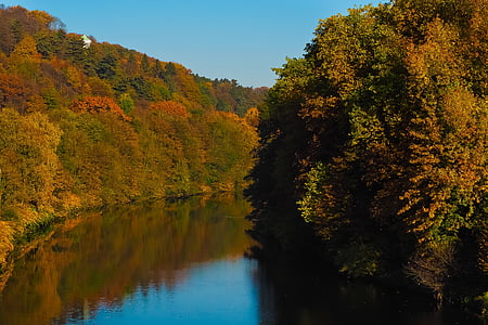 mùa thu, Thiên nhiên, cây, cảnh quan, rừng, farbenspiel, lá