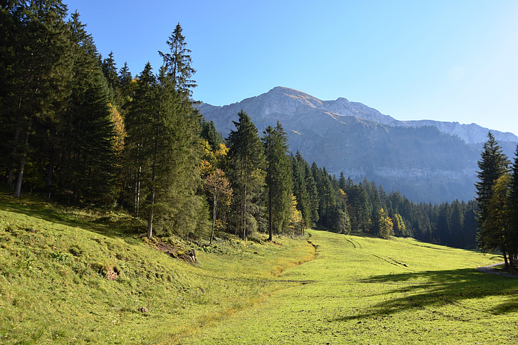 mountains, alpine, alm, alpine meadow, hiking, meadow, nature